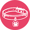 Famille d'accueil pour chat nantes